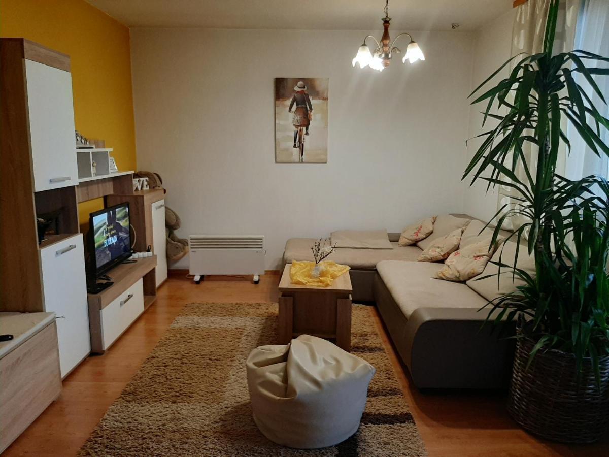 Apartment Zora - Guest House أوغولين المظهر الخارجي الصورة